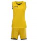 Zeusport Kit Flora giallo/blu